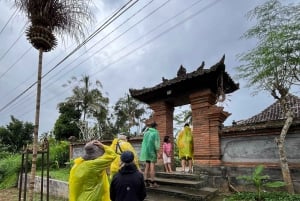 Bali Natural Downhill Cycling Tour and visit Batur Volcano