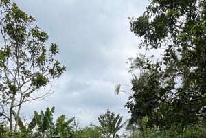 Bali Natural Downhill Cycling Tour and visit Batur Volcano