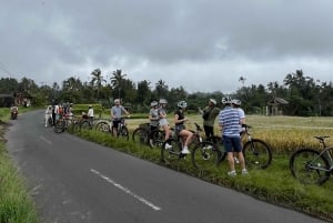 Bali Natural Downhill Cycling Tour and visit Batur Volcano