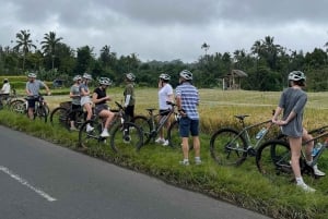 Bali Natural Downhill Cycling Tour and visit Batur Volcano