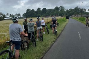 Bali Natural Downhill Cycling Tour and visit Batur Volcano