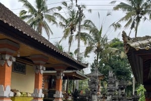 Bali Natural Downhill Cycling Tour and visit Batur Volcano