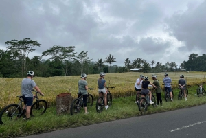 Bali Natural Downhill Cycling Tour and visit Batur Volcano