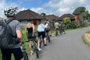 Bali Natural Downhill Cycling Tour and visit Batur Volcano