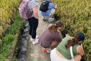 Bali Natural Downhill Cycling Tour and visit Batur Volcano