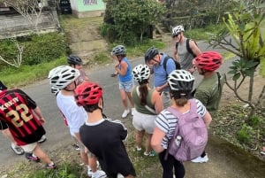 Bali Natural Downhill Cycling Tour and visit Batur Volcano