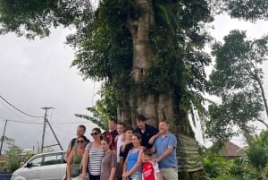 Bali Natural Downhill Cycling Tour and visit Batur Volcano