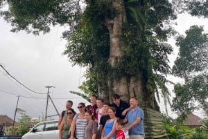 Bali Natural Downhill Cycling Tour and visit Batur Volcano