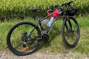 Bali Natural Downhill Cycling Tour and visit Batur Volcano
