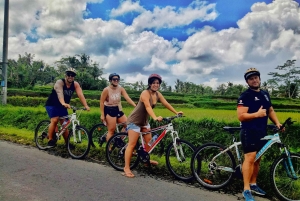 Bali Natural Downhill Cycling Tour and visit Batur Volcano