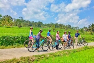 Bali Natural Downhill Cycling Tour and visit Batur Volcano