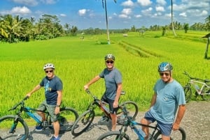 Bali Natural Downhill Cycling Tour and visit Batur Volcano
