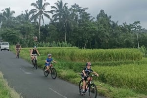Bali Natural Downhill Cycling Tour and visit Batur Volcano