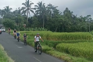 Bali Natural Downhill Cycling Tour and visit Batur Volcano