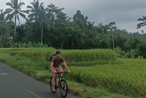 Bali Natural Downhill Cycling Tour and visit Batur Volcano