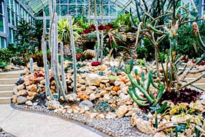 バリ島：自然の花、湖の光景、イチゴの幸せ