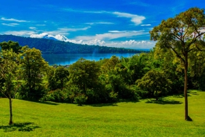 バリ島：自然の花、湖の光景、イチゴの幸せ