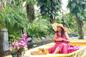 Bali Nature Swing & Relaxing Koi Garden Boat with Lunch
