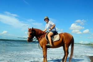 Bali: Near Sanur Beach Horse Riding Experience