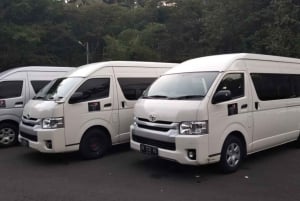 Bali: Ngurah Rai Airport Transfer Ubud Area