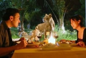Bali: Tour noturno de safári com jantar e serviço de busca