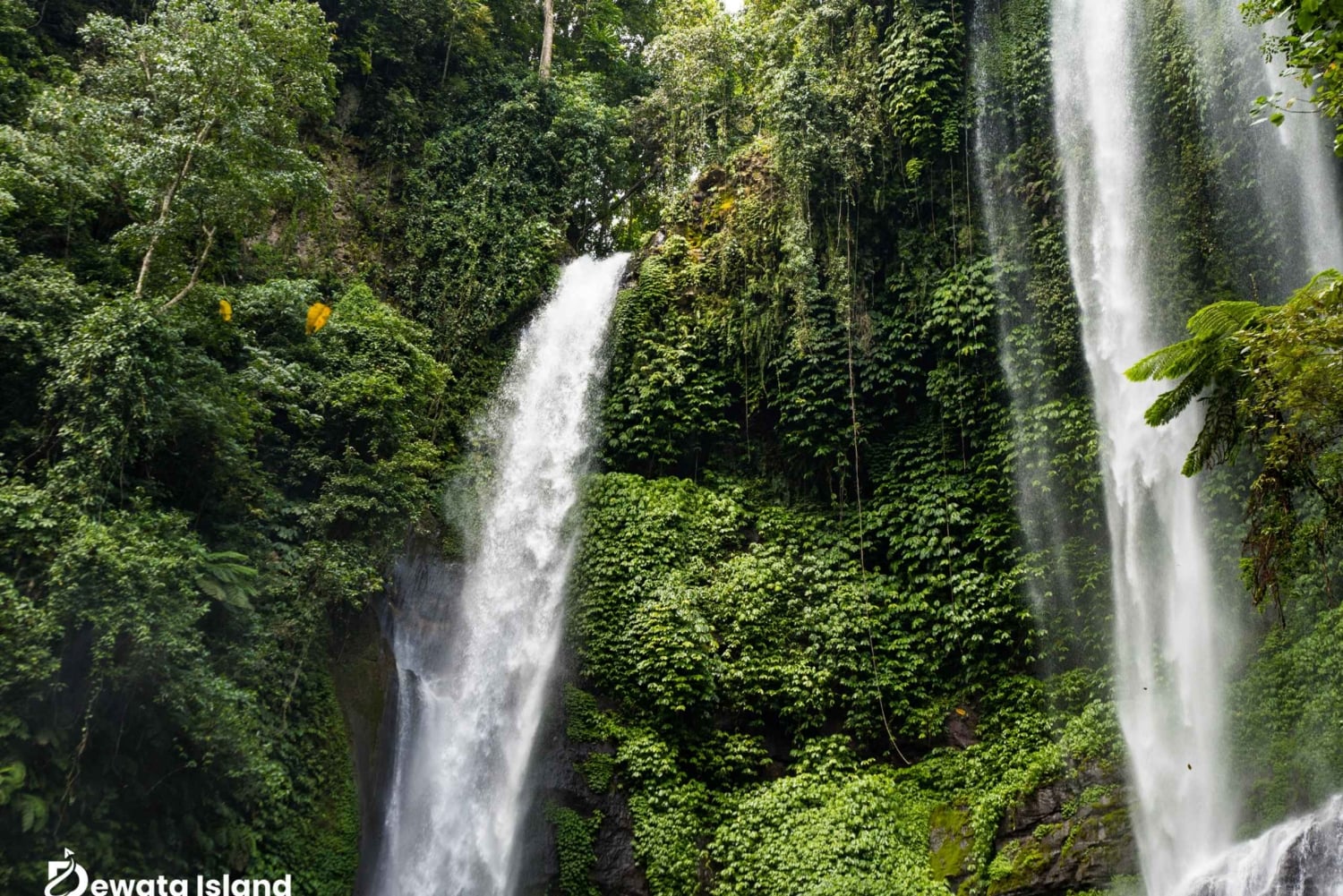 Bali : North Bali Hidden Gems - Costumized Tour