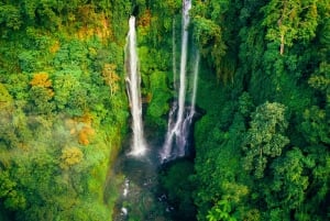 Bali : North Bali Hidden Gems - Costumized Tour