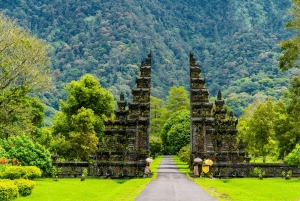 Bali : North Bali Hidden Gems - Costumized Tour