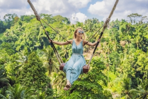 Bali : North Bali Hidden Gems - Costumized Tour