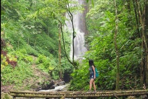 Bali : North Bali Hidden Gems - Costumized Tour