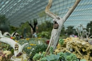 Bali : North Bali Hidden Gems - Costumized Tour