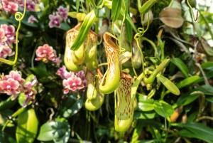 Bali : North Bali Hidden Gems - Costumized Tour