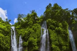 Bali : North Bali Hidden Gems - Costumized Tour