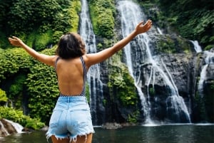 Bali : North Bali Hidden Gems - Costumized Tour