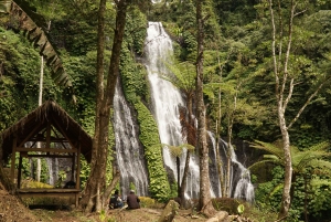 Bali : North Bali Hidden Gems - Costumized Tour