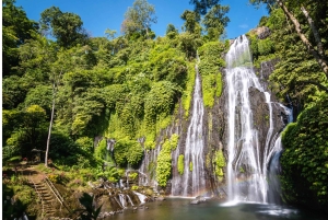 Bali : North Bali Hidden Gems - Costumized Tour