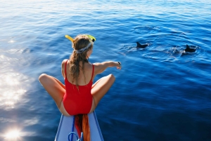 Bali : North Bali Hidden Gems - Costumized Tour