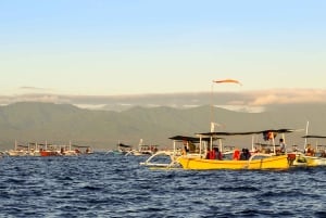 Bali : North Bali Hidden Gems - Costumized Tour