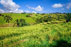 Bali : North Bali Hidden Gems - Costumized Tour