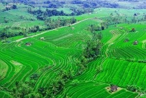 Bali : North Bali Hidden Gems - Costumized Tour