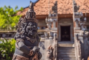 Bali : North Bali Hidden Gems - Costumized Tour