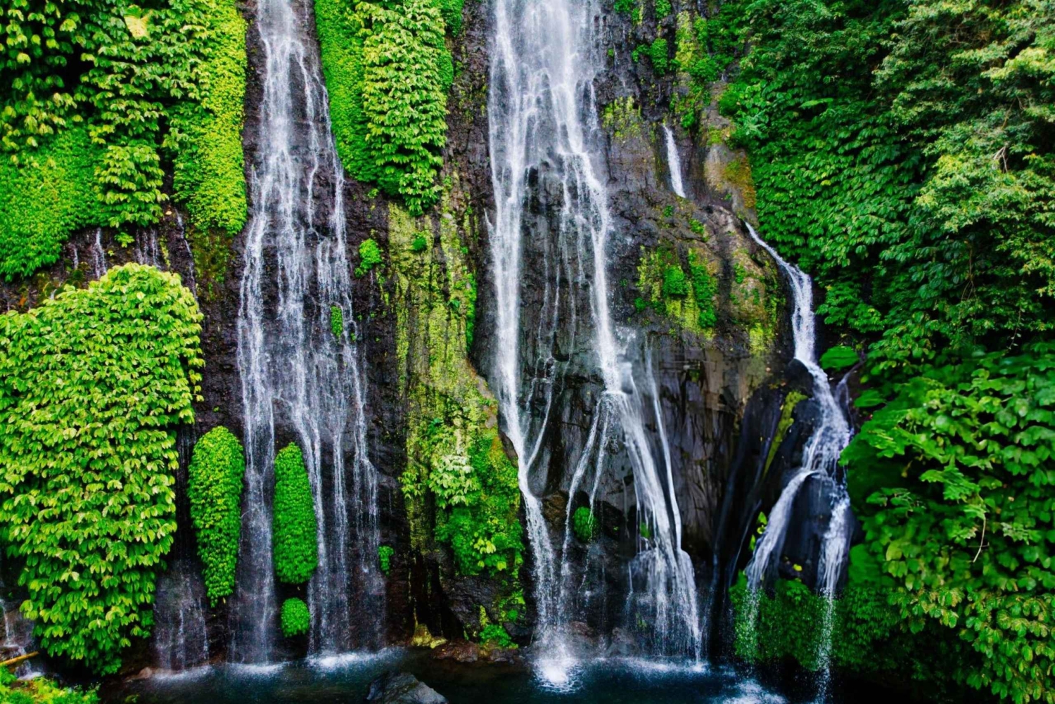 Bali: North Bali Highlands Tour with Water the Temple