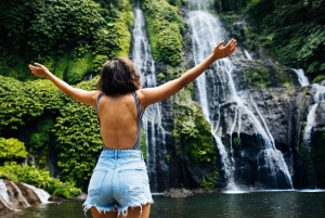 Bali: North Bali Highlands Tour with Water the Temple