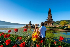 Bali: North Bali Highlands Tour with Water the Temple