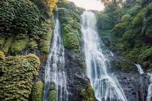Bali: North Bali Highlands Tour with Water the Temple