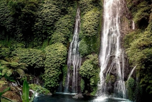 Bali: North Bali Highlands Tour with Water the Temple
