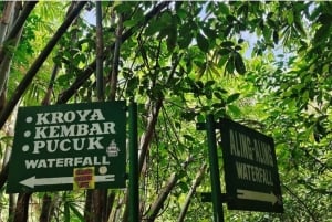 Bali : visite du nord de Bali avec options d'itinéraire flexibles