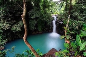 Bali : visite du nord de Bali avec options d'itinéraire flexibles