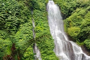 Bali: tour del nord di Bali con la cascata Yeh Hoo