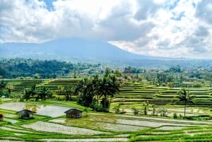 Bali: tour del nord di Bali con la cascata Yeh Hoo